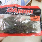 DSCF5105