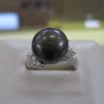 IMG_0251